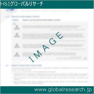 グローバルリサーチ調査レポートのイメージ